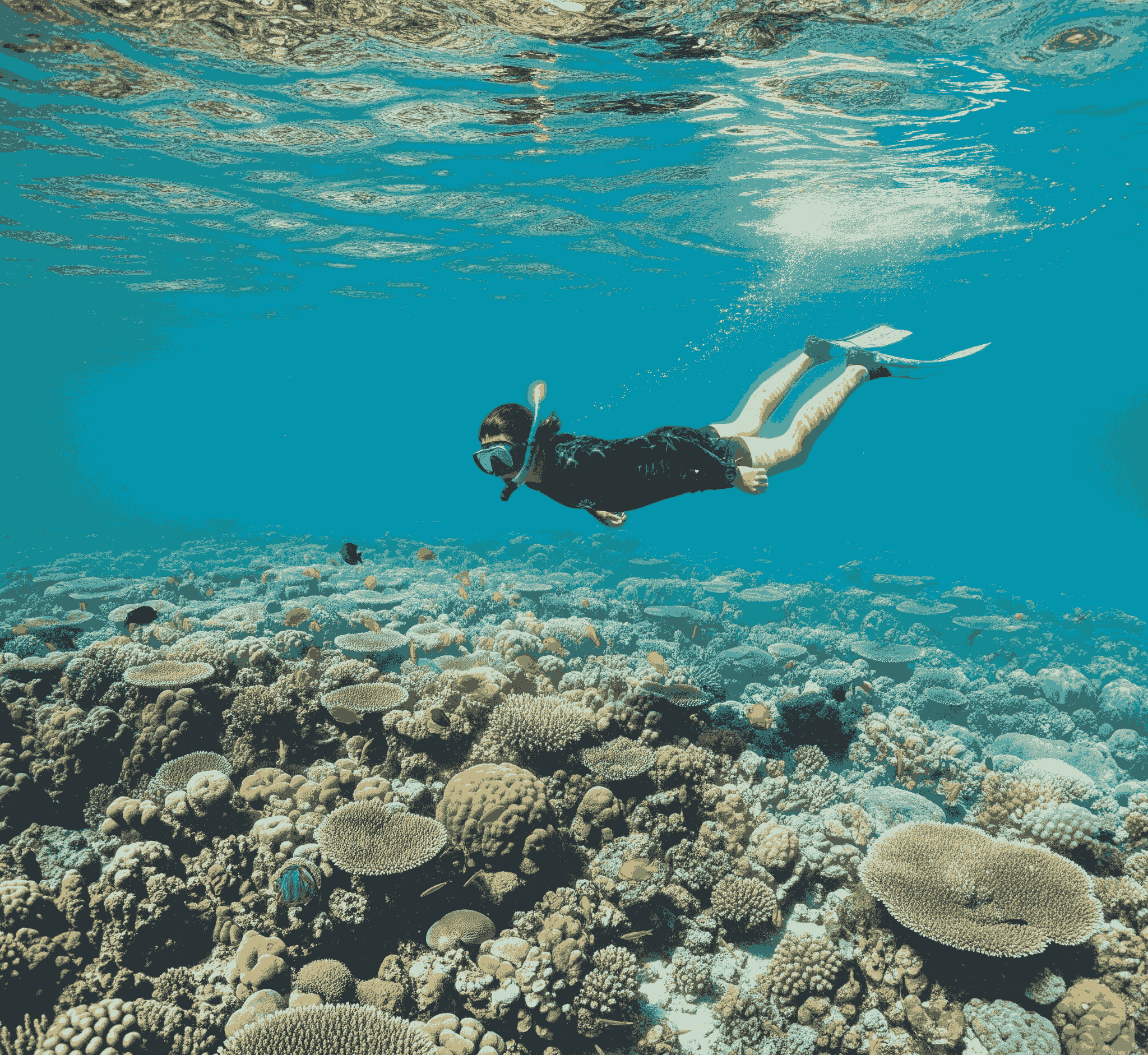 snorkling labuan bajo