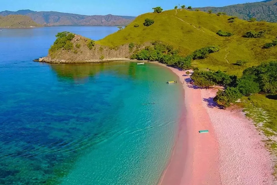 pink beach floresgoldkomodo